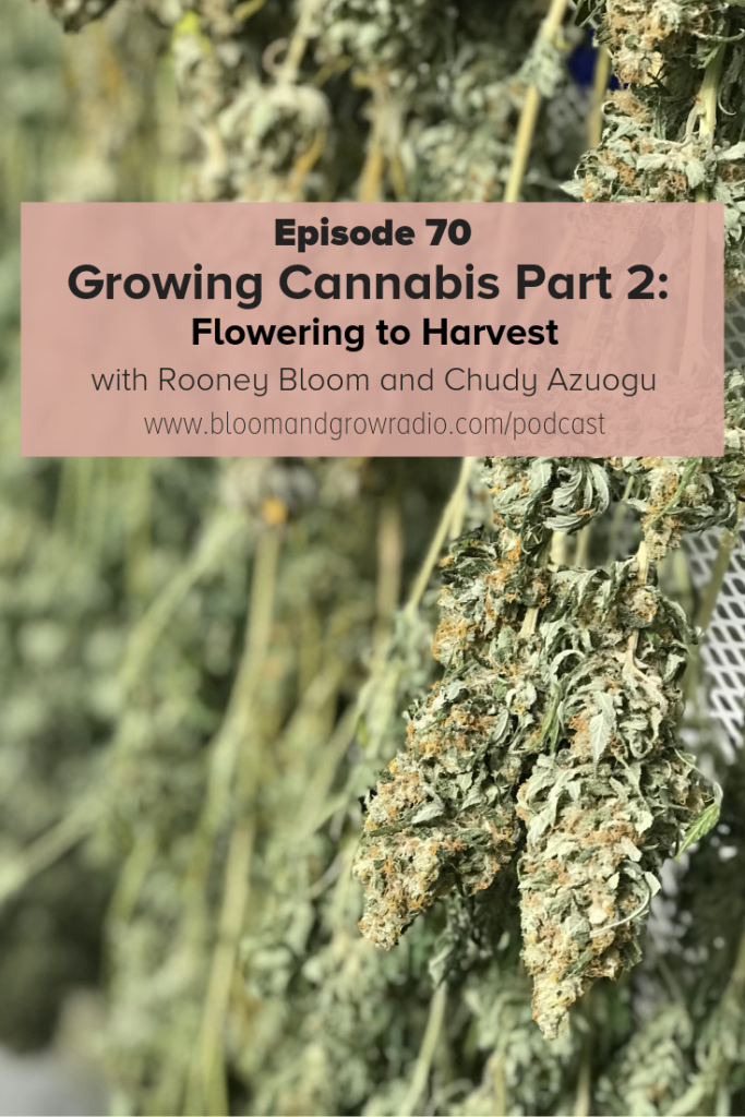 growing cannabis part 2,Episode 70 Bloom and Grow Radio Podcast