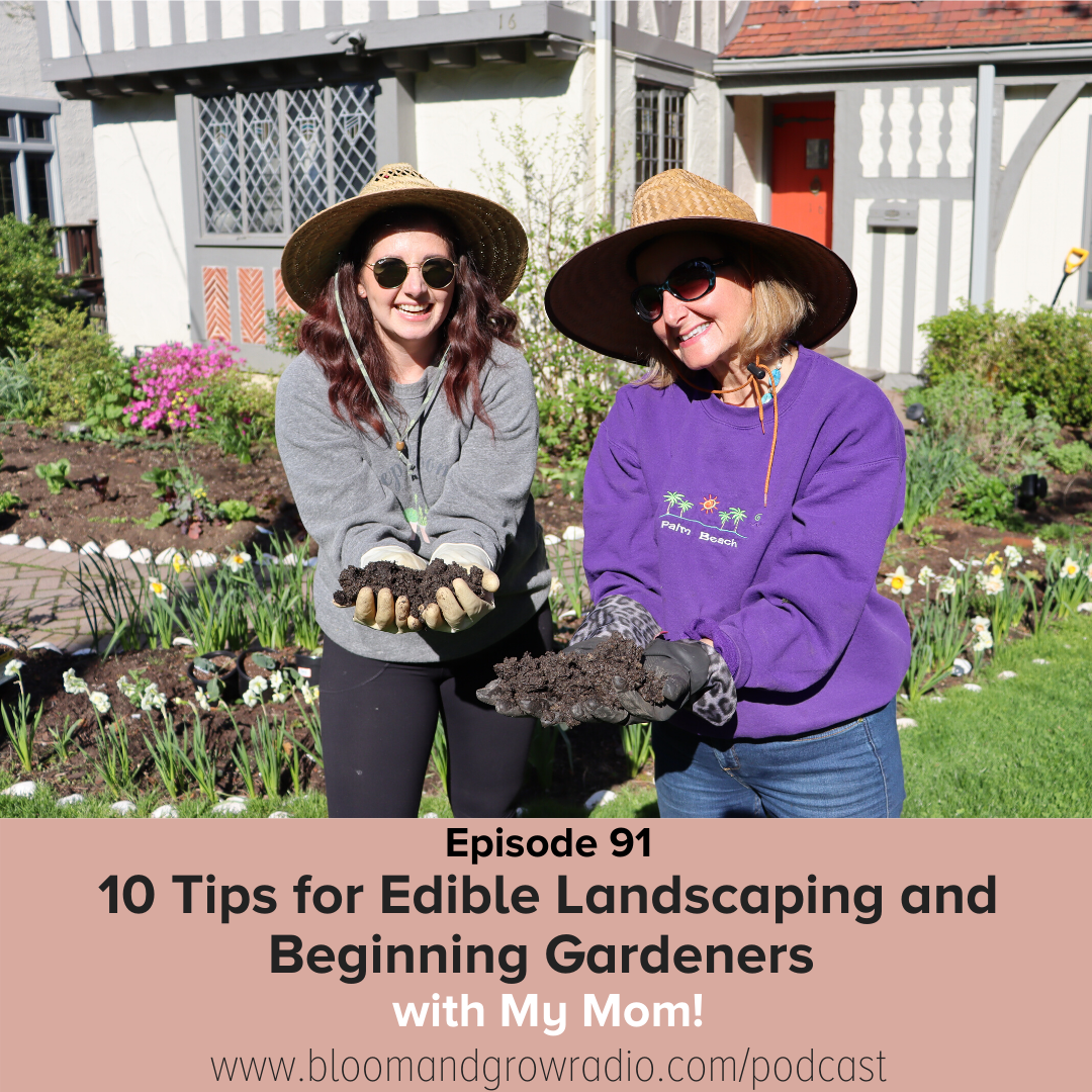 tips for edible landscaping and beginner gardeners