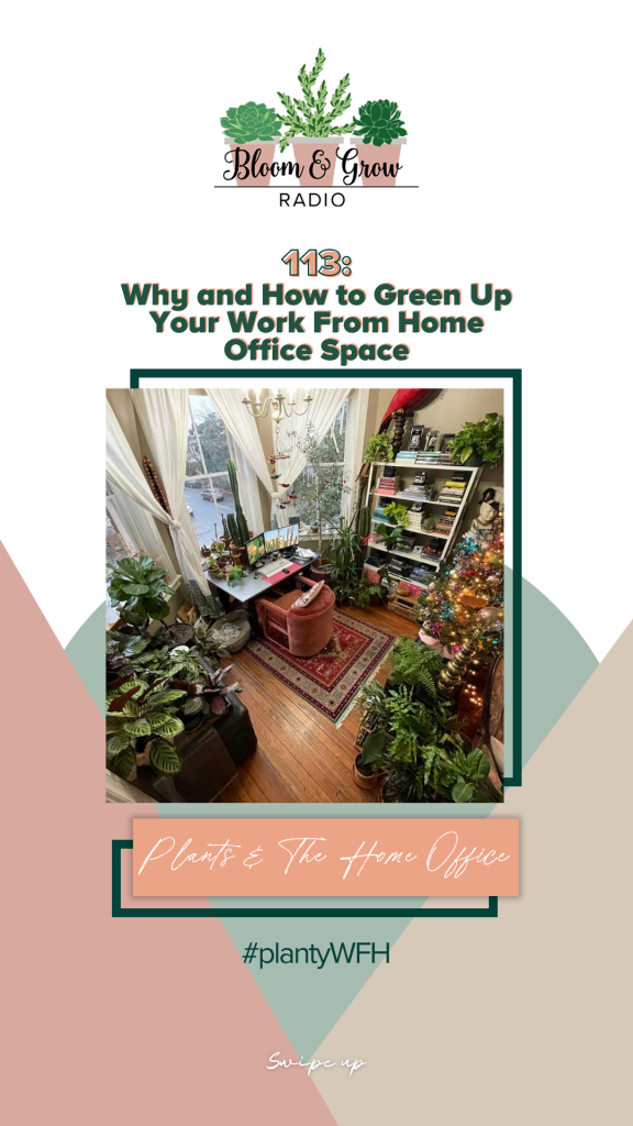 plants and the office