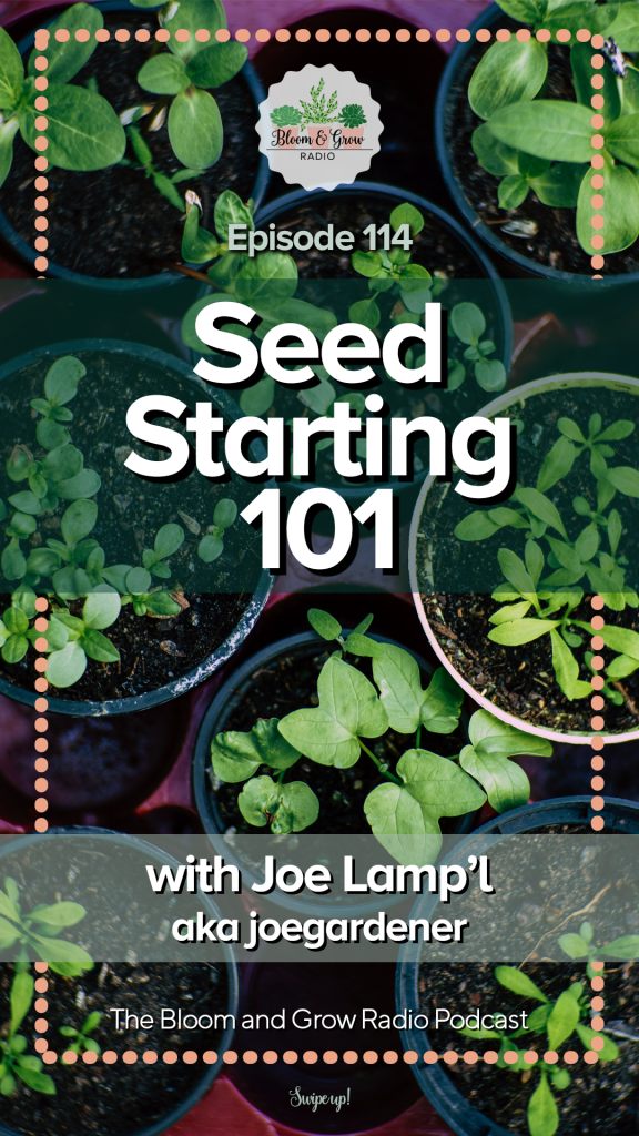 seed starting 101