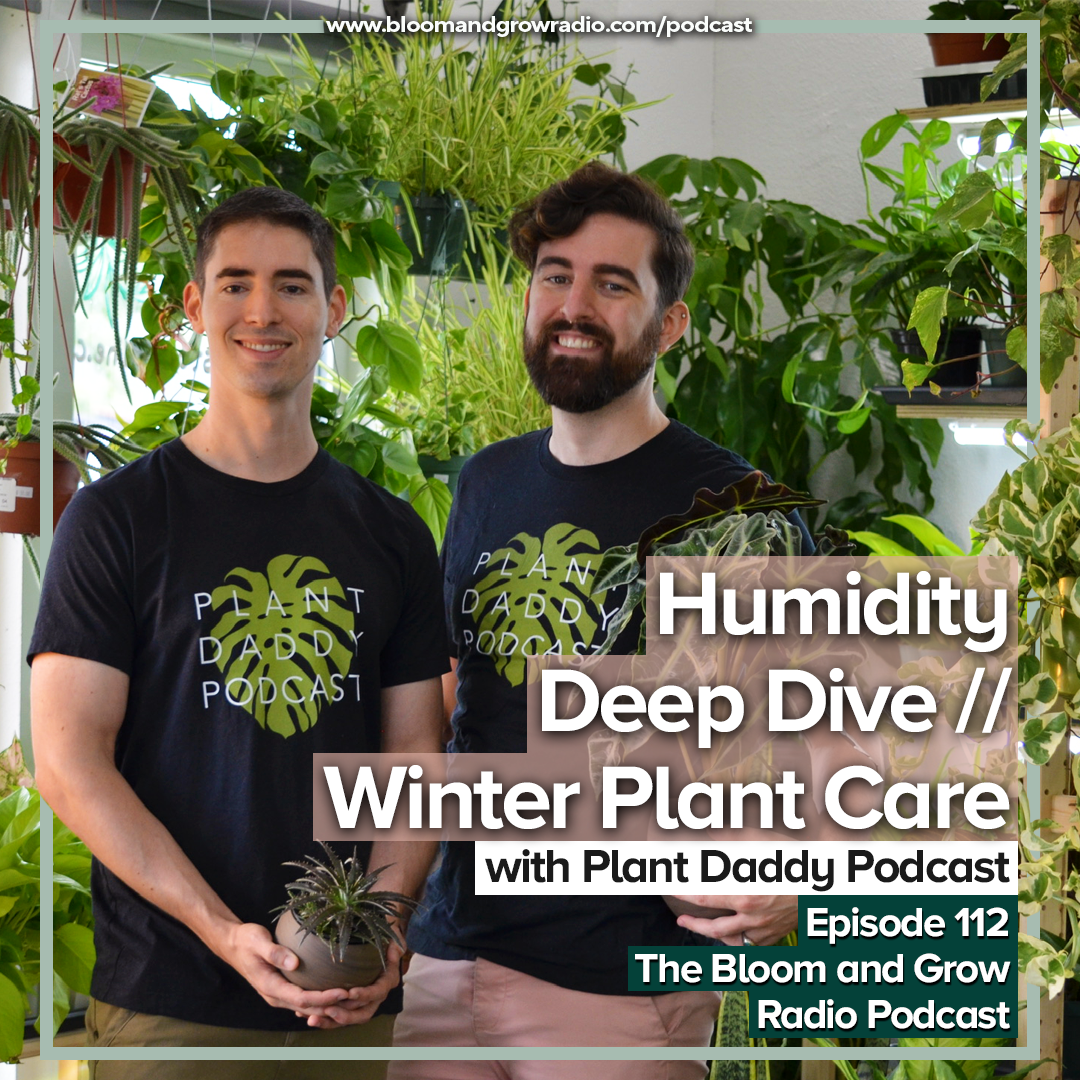 humidity deep dive for plant care