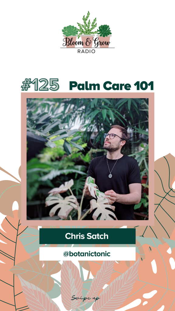 palm care