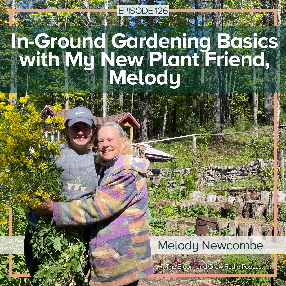 in-ground gardening basics